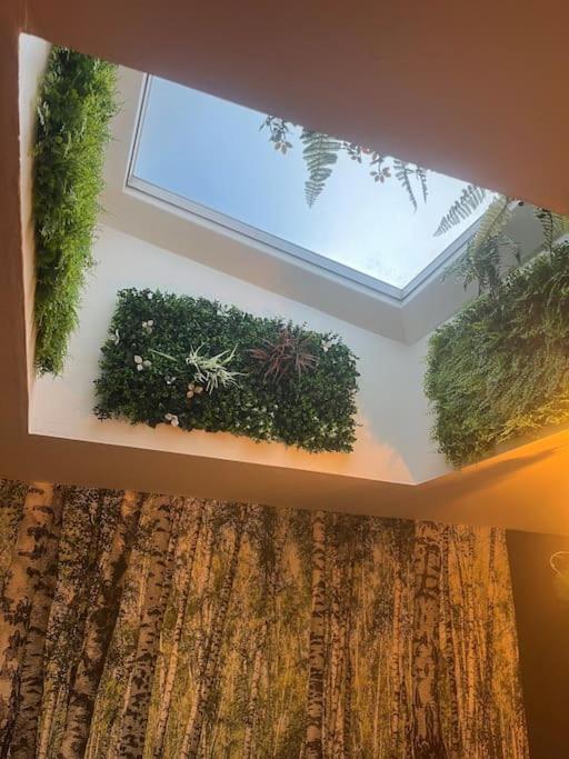 Appartement Centre Ville Calais Ngoại thất bức ảnh